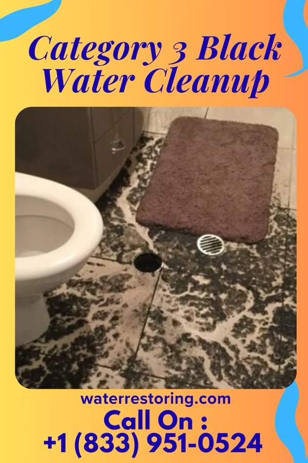 Category 3 Black Water Cleanup in Peachtree Corners, GA