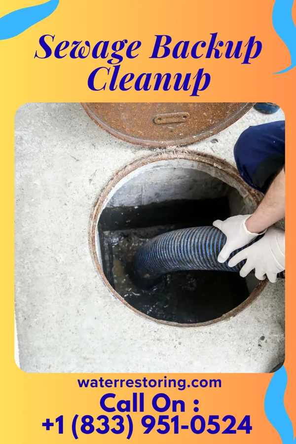 Sewage Backup Cleanup in Peachtree Corners, GA