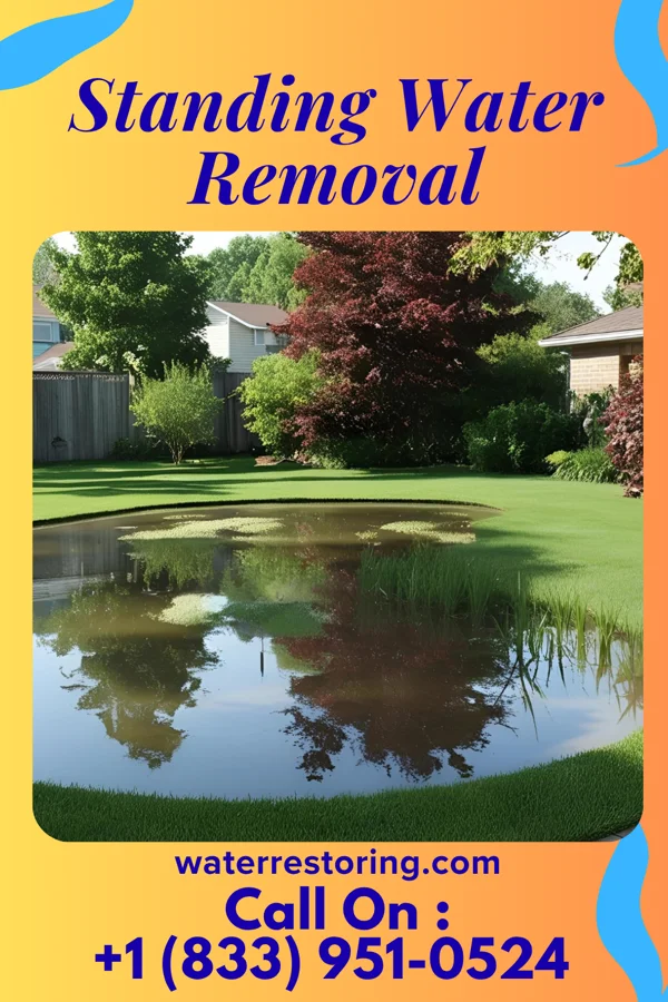 Standing Water Removal in Peachtree Corners, GA